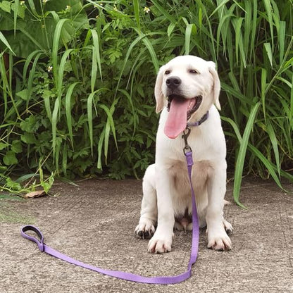 Premium Classic Nylon Adjustable Dog Collars,Soft and Smooth Regular 5/8 Inch Wide Dog Collars with Quick Release Buckle for Small Dogs Daily Walking,Training. (Small, Ultra Violet) - color: Ultra Violet, size: Small 11-14 Inches