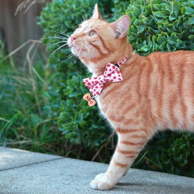 Ultra Joys Breakaway Cat Collar with Bells - Kitten Collar with Bowtie Strawberry Small - color: Strawberry-Bowtie Collar, size: Small