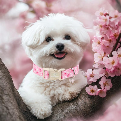 Girl Dog Collar Pink Gingham Bow Dog Collars for Puppy Small Dogs - Lightweight Adjustable Girly Spring Female Dogs Everyday Collar with Safety Buckle XS - color: Gingham Bow, size: XS