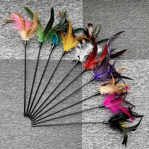 10-Pack Cat Feather Wand Toys with Bell, Natural Feather Interactive Teaser for Indoor Kittens Friendly Cat Toy