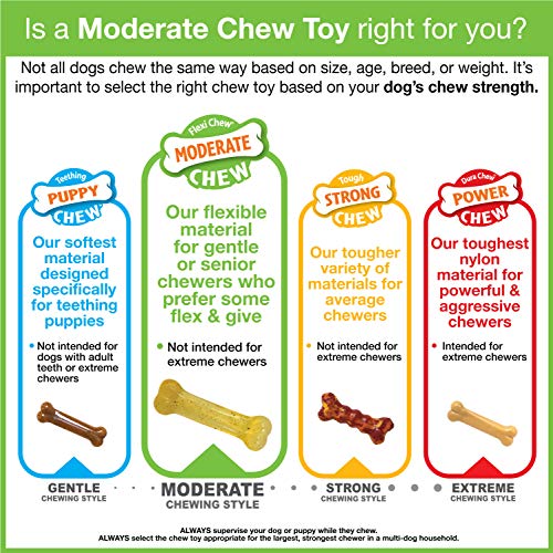 Nylabone Moderate Chew Flexi Chew Bone Peanut Butter & Bacon XX-Small/Tiny (2 Count)