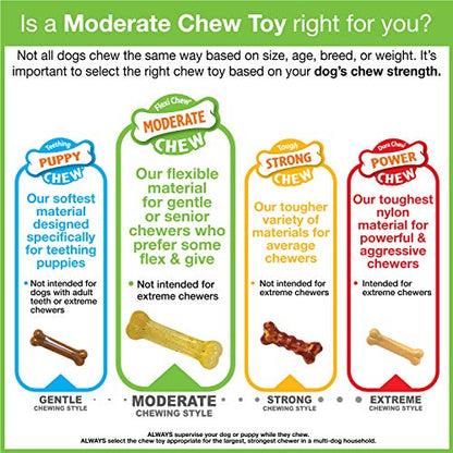 Nylabone Moderate Chew Flexi Chew Bone Peanut Butter & Bacon XX-Small/Tiny (2 Count)