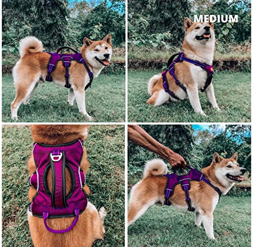 Tuff Pupper Escape Proof No Escape Dog Harness | 5 Point Adjustable Fit Harness for Dogs | Padded Dog Harnesses | Handle Dog Lift Harnesses - color: Purple, size: Medium