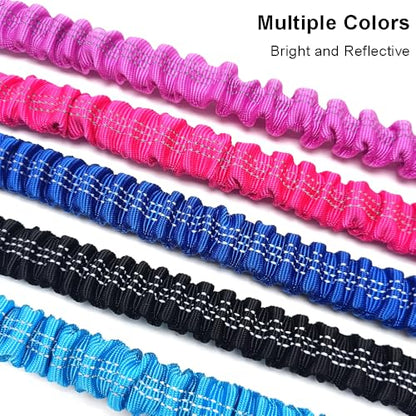5FT Bungee Dog Leash with 2 Handles, Reflective Strong Nylon Traffic Leash, Shock Absorbing Lead for Large Medium Dogs Walking Training Controlling, Blue - color: Blue