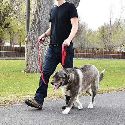 Wagtime Club Double Handle Dog Leash, 6ft Long Heavy Duty Dog Leash with Paded Traffic Handles for Extral Control and Training, Dual Handles Leads, Large Medium Small Dogs (Reflective Carnation Red) - color: Reflective Carnation Red