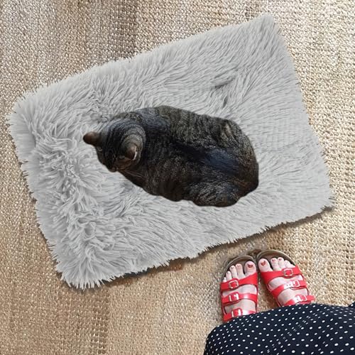 SUPVOX Plush Cat Sleeping Mat and Dog Pad Warm Long Velvet Cushion for Small Dogs and Cats Indoor Comfortable Pet Bed Gray S Size Random Style