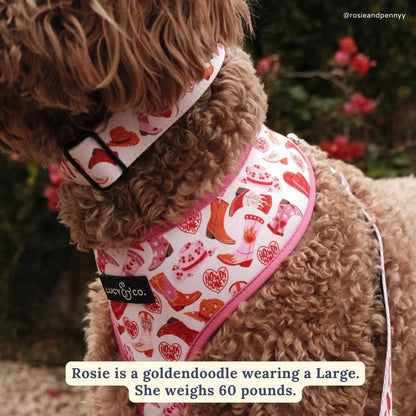 Lucy & Co. Dog Collar - Durable Lightweight Designer Collar for Pets - Adjustable Metal Safety Buckel. (Howdy, Honey, Small). - color: Howdy, Honey, size: Small