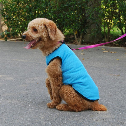 VALICLUD Pet Dog Vest Breathable Mesh Cooling Sleeveless Puppy Shirt Blue M for Summer Wear
