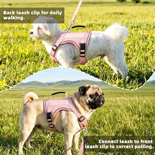 AIITLE Small Dog Harness No Pull, Reflective Adjustable Vest with Handle, No Choke Design, Dual Metal Leash Clips for Walking Training Running Camping, Small Medium Breeds - Pink XS - color: Pink, size: XS