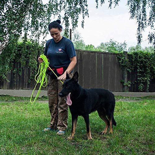 Rope Pro Training Dog Collar Braided No Pull Quick Release Round Lead Collars for Dogs Small Medium Large Puppy (30 FT Leash, Neon Green) - color: Neon Green