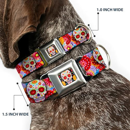 Dog Collar Seatbelt Buckle Sugar Skull Starburst White Multi Color 13 to 18 Inches 1.5 Inch Wide - size: 1.5" Wide - Fits 13-17" Neck - Small