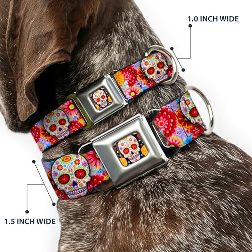 Dog Collar Seatbelt Buckle Sugar Skull Starburst White Multi Color 16 to 23 Inches 1.5 Inch Wide - size: 1.5" Wide - Fits 16-23" Neck - Medium