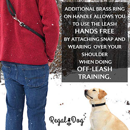Regal Dog Products Waterproof Leash – 5 ft. Purple Dog Leash with Easy to Use Collar Hook, Lightweight, and Proof Training Pet Lead with Vinyl-Coated Webbing for Small, Medium, Large, or XL Dogs - color: Purple