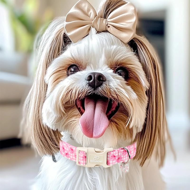 Girl Dog Collar Pink Gingham Bow Dog Collars for Puppy Small Dogs - Lightweight Adjustable Girly Spring Female Dogs Everyday Collar with Safety Buckle XS - color: Gingham Bow, size: XS