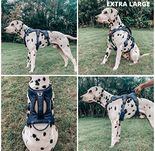 Tuff Pupper Escape Proof No Escape Dog Harness | 5 Point Adjustable Fit Harness for Dogs | Padded Dog Harnesses | Handle Dog Lift Harnesses - color: Midnight Blue, size: X-Large