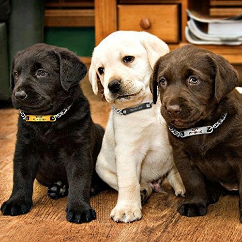 Personalized Cat Dog Chain Collar Customized Engraved Pet Collars Small Dogs Cats Necklace NamePlate Chihuahua Yorkshire (Silver,S) - color: Silver