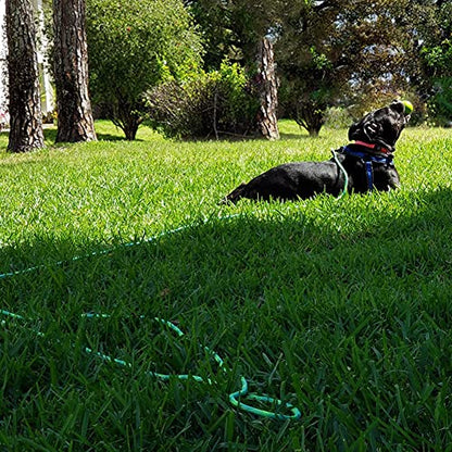 8ft 12ft 20ft 30ft 50ft 75ft Dog Tie-Out Long Tether Rope Leash, Outdoor Yard Leash- Large Medium Small Dogs Training, Playing, Camping, Backyard (Green, 12 Foot) - color: Green, size: 12 Foot