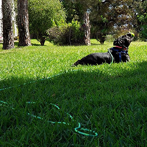 8ft 12ft 20ft 30ft 50ft 75ft Dog Tie-Out Long Tether Rope Leash, Outdoor Yard Leash- Large Medium Small Dogs Training, Playing, Camping, Backyard (Green, 12 Foot) - color: Green, size: 12 Foot