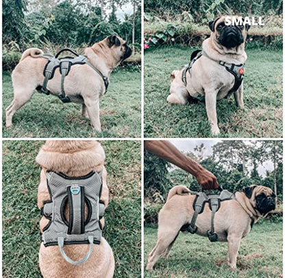 Tuff Pupper Escape Proof No Escape Dog Harness | 5 Point Adjustable Fit Harness for Dogs | Padded Dog Harnesses | Handle Dog Lift Harnesses - color: Steel Grey, size: Small