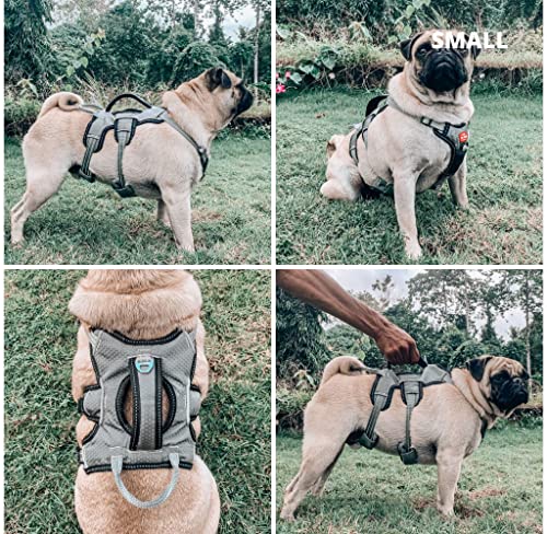 Tuff Pupper Escape Proof No Escape Dog Harness | 5 Point Adjustable Fit Harness for Dogs | Padded Dog Harnesses | Handle Dog Lift Harnesses - color: Steel Grey, size: Small