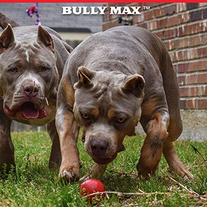 Bully Max Long Lasting Dog Chew Toy for Aggressive Chewers, Large Dogs, Puppies. Pit Bull Toys Guaranteed to Last. Cleans Your Dog's Teeth & Improves Mental Health. - color: Red