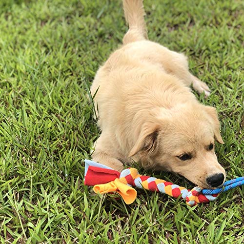 Dewonch Dog Fleece Rope Teaser Toy as Replacement to Chase and Tug (A-2PCS) - style: A-2PCS