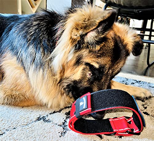 Tactical Dog Collar 2 Inch Wide Heavy Duty with Metal 2-Pin Belt Buckle for Medium, Large & XL Dogs, Thick Military-Style K9 Collar, Reflective, with Name Plate Area, USA Flag Patch, Strong & Durable - color: RED, size: 12-20 inches