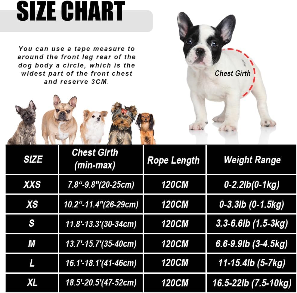 Dog Harness and Leash Set for Walking, Soft Mesh Adjustable Easy Control Lightweight Cat Vest Harnesses with Reflective Strips, Escape Proof Small Dogs Cats Vests - color: Purple, size: XXS