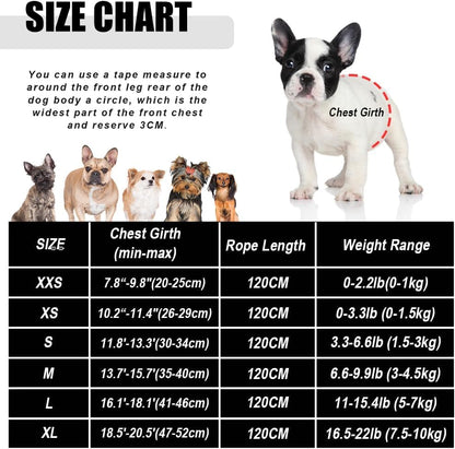 Dog Harness and Leash Set for Walking, Soft Mesh Adjustable Easy Control Lightweight Cat Vest Harnesses with Reflective Strips, Escape Proof Small Dogs Cats Vests - color: Purple, size: XXS