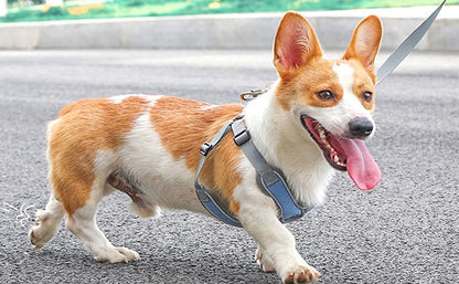 Large Dog Harness and Leash Set,No Pull Adjustable Step in Soft Mesh Vest Harness,Easy Walk Reflective Pet Harness with Padded Handle for Walking Training Small Medium Large Dogs and Cats (Blue, L) - color: Blue, size: L
