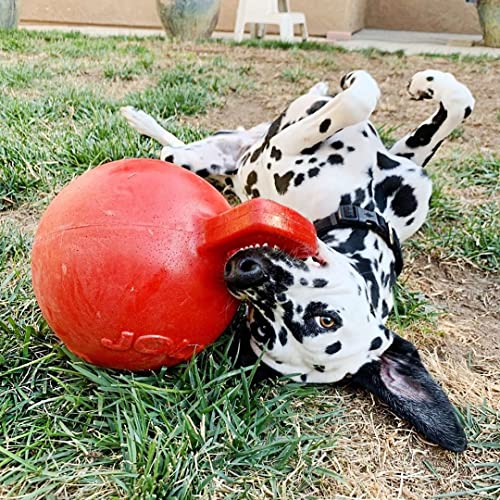 Jolly Pets Tug-n-Toss Dog Toy Ball with Handle, 10" XL, Red - color: Red, size: XL (10 in)