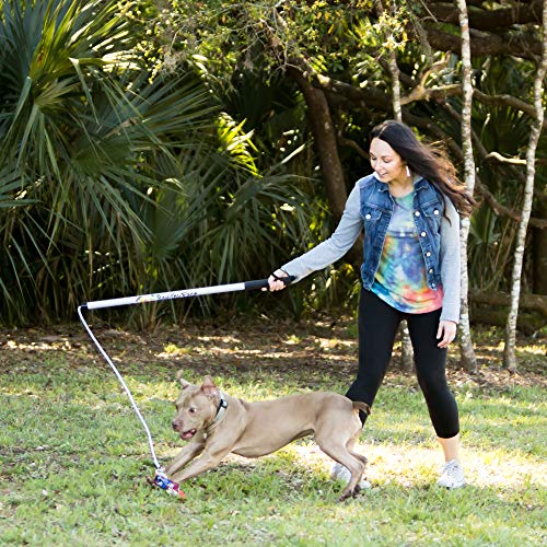 Squishy Face Studio Flirt Pole V2 with Lure - Durable Dog Toy for Fun Obedience Training & Exercise, Purple/Blue Tie Dye, Regular - 36 inch - color: Purple/Blue Tie Dye, size: Regular (36 in), style: No Squeaker