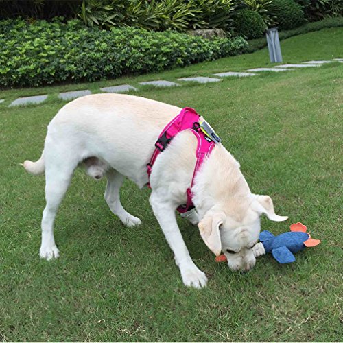 SGODA Dog Harness Nylon with Reflective Dog Vest, Medium, Pink - color: Fuchsia, size: Medium Chest 22-27"