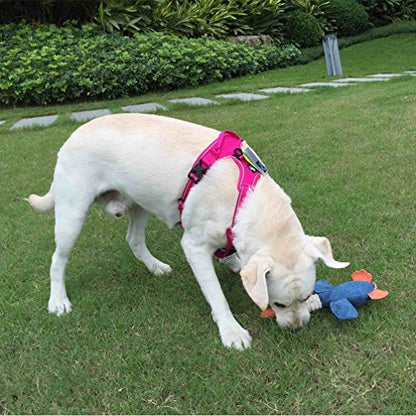 SGODA Dog Harness Nylon with Reflective Dog Vest, Medium, Pink - color: Fuchsia, size: Medium Chest 22-27"