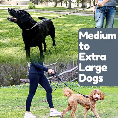 6 Foot Dog Leash, Two Extra Padded Handles, Locking Carabiner Clip, Reflective for Night Visibility, Weatherproof, Heavy Duty Rope Leash, Roam Gear (Black) - color: Black