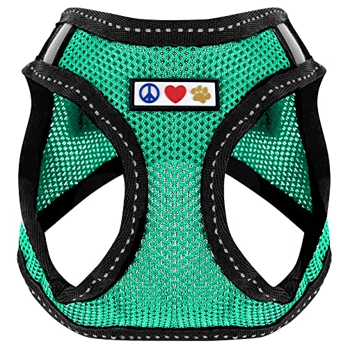 Pawtitas Dog Vest Harness Made with Breathable Air Mesh | All Weather Vest Harness for Extra Small Puppies and Large Cats with Quick-Release Buckle - Extra Small Teal Mesh Dog Harness - color: Teal, size: X-Small (Pack of 1)