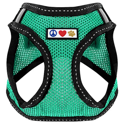 Pawtitas Dog Vest Harness Made with Breathable Air Mesh | All Weather Vest Harness for Extra Small Puppies and Large Cats with Quick-Release Buckle - Extra Small Teal Mesh Dog Harness - color: Teal, size: X-Small (Pack of 1)
