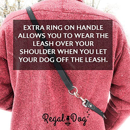 Regal Dog Products Waterproof Leash – 5 ft. Blue Dog Leash with Easy to Use Collar Hook, Lightweight, and Proof Training Pet Lead with Vinyl-Coated Webbing for Small, Medium, Large, or XL Dogs - color: Blue