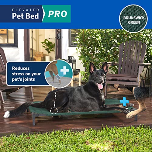 Coolaroo Pro Elevated Dog Bed - Low-Profile Access, Moisture-Resistant Cover, Breathable Fabric & Tool-Free Setup, Brunswick Green, Standard - color: Brunswick Green, size: Standard