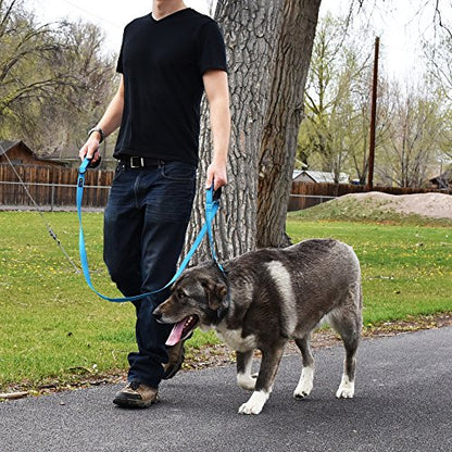 Wagtime Club Double Handle Dog Leash, 6ft Long Heavy Duty Dog Leash with Paded Traffic Handles for Extral Control and Training, Dual Handles Leads, Large Medium Small Dogs (Reflective Bright Blue) - color: Reflective Bright Blue