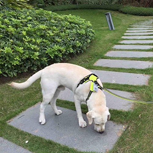 SGODA No Pull Dog Harness with Handle, Reflective, X-Large, Green - color: Green, size: X-Large Chest 32-42"