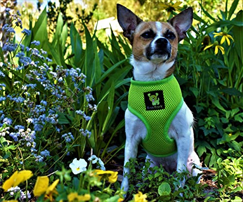 EcoBark Dog Harness - Eco-Friendly Max Comfort Harnesses - Luxurious Soft Mesh Halter - Over the Head Harness Vest- No Pull and No Choke for Puppy, Toy Breeds & Small Dogs (Small, Green) - color: Green