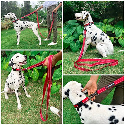 Tuff Pupper Heavy Duty Double Handle Leash - Twist Lock Carabiner Clip for Strong Medium & Large Dogs - Reflective, 6FT - color: March Red