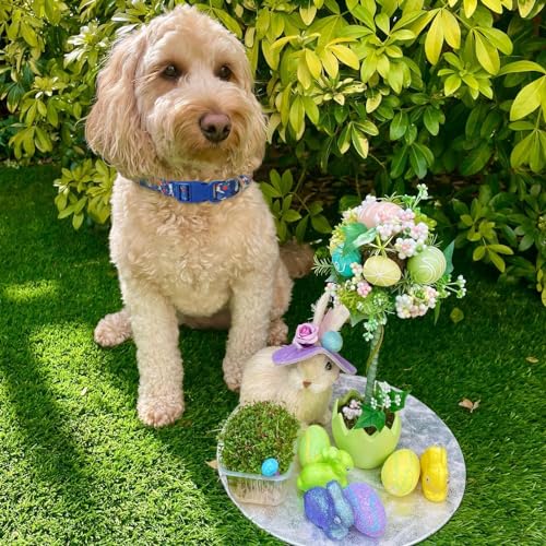Medium Dog Collar Easter, Adjustable Quick Release Dog Collar Set 3/4 inch - color: Easter, size: M
