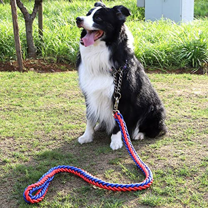 Love Dream Dog Collar and Leash Set, Heavy Duty Nylon Braided Rope Strong 4 FT Dog Leash and Martingale Training Collar for Small Medium Large Dogs Training and Walking (Blue & Red) - color: Blue & Red, size: Medium (Thick 1.5cm)