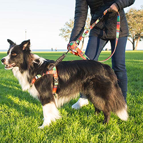 Leash Boss Pattern Bungee Dog Leash Extension, 18" Shock Absorbing Lead Extender, Pattern Collection - Large Dog Leash Attachment and Shock Absorber (Blanket Pattern) - color: Orange - Blanket