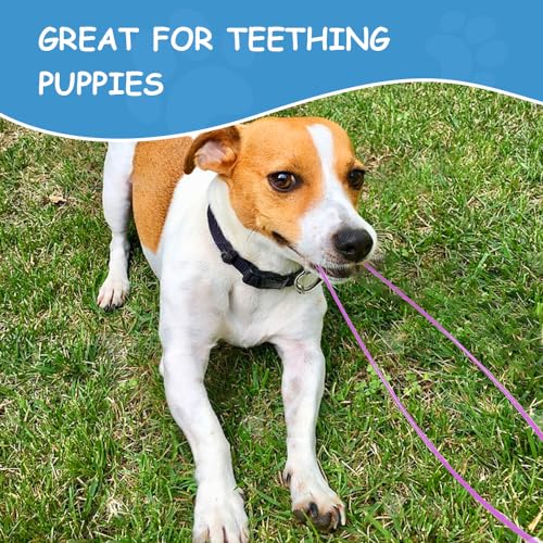 Chew Proof Dual Dog Leashes, 2Pack Extension Metal Cable Lead, No Tangle, Heavy Duty Dog Leash Extender for Collar & Harness (Black+Green, 20in/50cm) - color: Black+Green