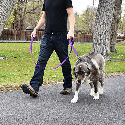 Wagtime Club Double Handle Dog Leash, 6ft Long Heavy Duty Dog Leash with Paded Traffic Handles for Extral Control and Training, Dual Handles Leads, Large Medium Small Dogs (Vibrant Purple) - color: Vibrant Purple