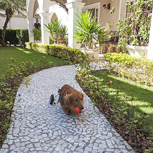 Chuckit! Dog Fetch Toy Ultra Ball Durable Rubber Fits Launcher Small 4 Balls