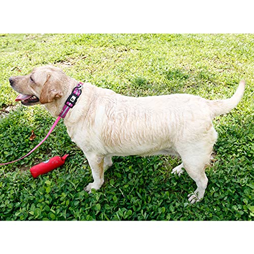 NIMBLE Dog Collar Waterproof Pet Collars Anti-Odor Durable Adjustable PVC & Polyester Soft with Reflective Cloth Stripe Basic Dog Collars S/M/L Sizes (Small (9.45”-14.17”inches), Rose Purple) - color: rose purple, size: Small (9.45”-14.17”inches)